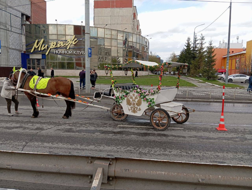В Тюмени повозка с лошадьми угодила в ДТП | В Тюмени столкнулись гужевая повозка и «Нива» В Тюмени повозка с лошадьми угодила в ДТП | В Тюмени столкнулись гужевая повозка и «Нива»