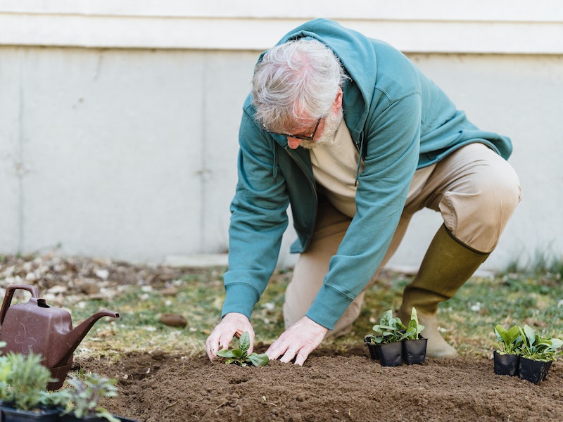 Бывший председатель СНТ на Урале приговорен к 3 годам за хищение средств товарищества