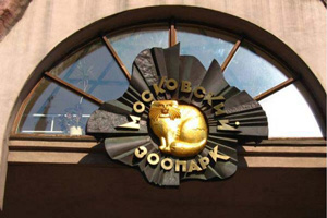 "Ночь в зоопарке": узнай, что делают животные ночью "Ночь в зоопарке": узнай, что делают животные ночью