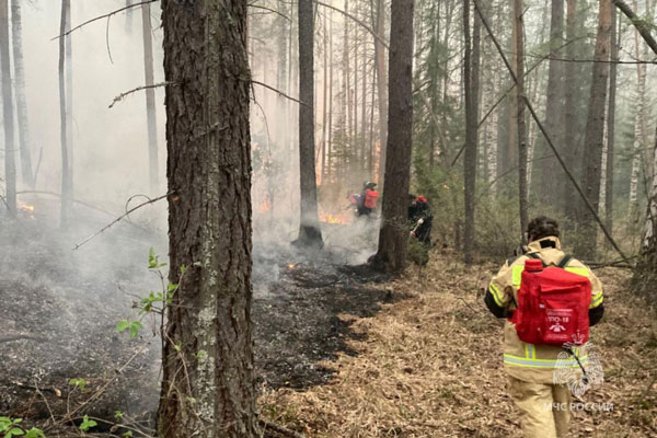 Площадь лесных пожаров на Среднем Урале сократилась в три раза Площадь лесных пожаров на Среднем Урале сократилась в три раза