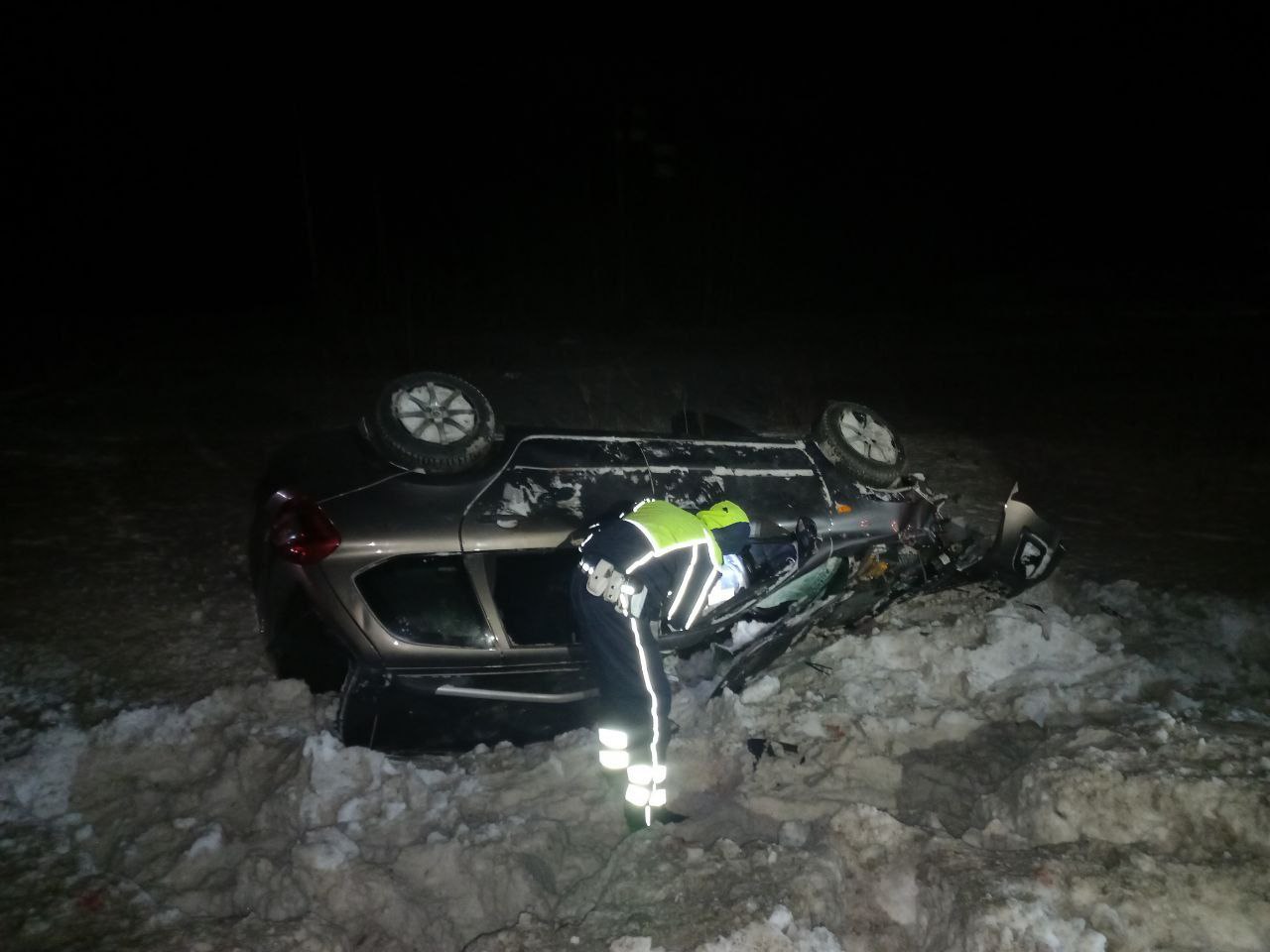 На уральской трассе лось погиб и забрал с собой подростка 