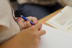 Пермская гимназия незаконно отказала ребенку в обучении