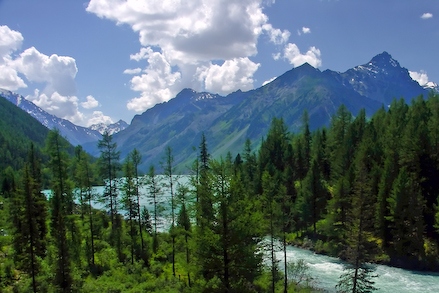 На Алтае горная порода рухнула на группу туристов На Алтае горная порода рухнула на группу туристов
