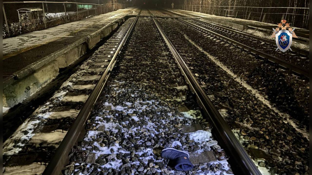 В Тюменской области проводится расследование после трагедии на железной дороге | Под Тюменью поезд сбил двух женщин: одна погибла, другая в больнице В Тюменской области проводится расследование после трагедии на железной дороге | Под Тюменью поезд сбил двух женщин: одна погибла, другая в больнице