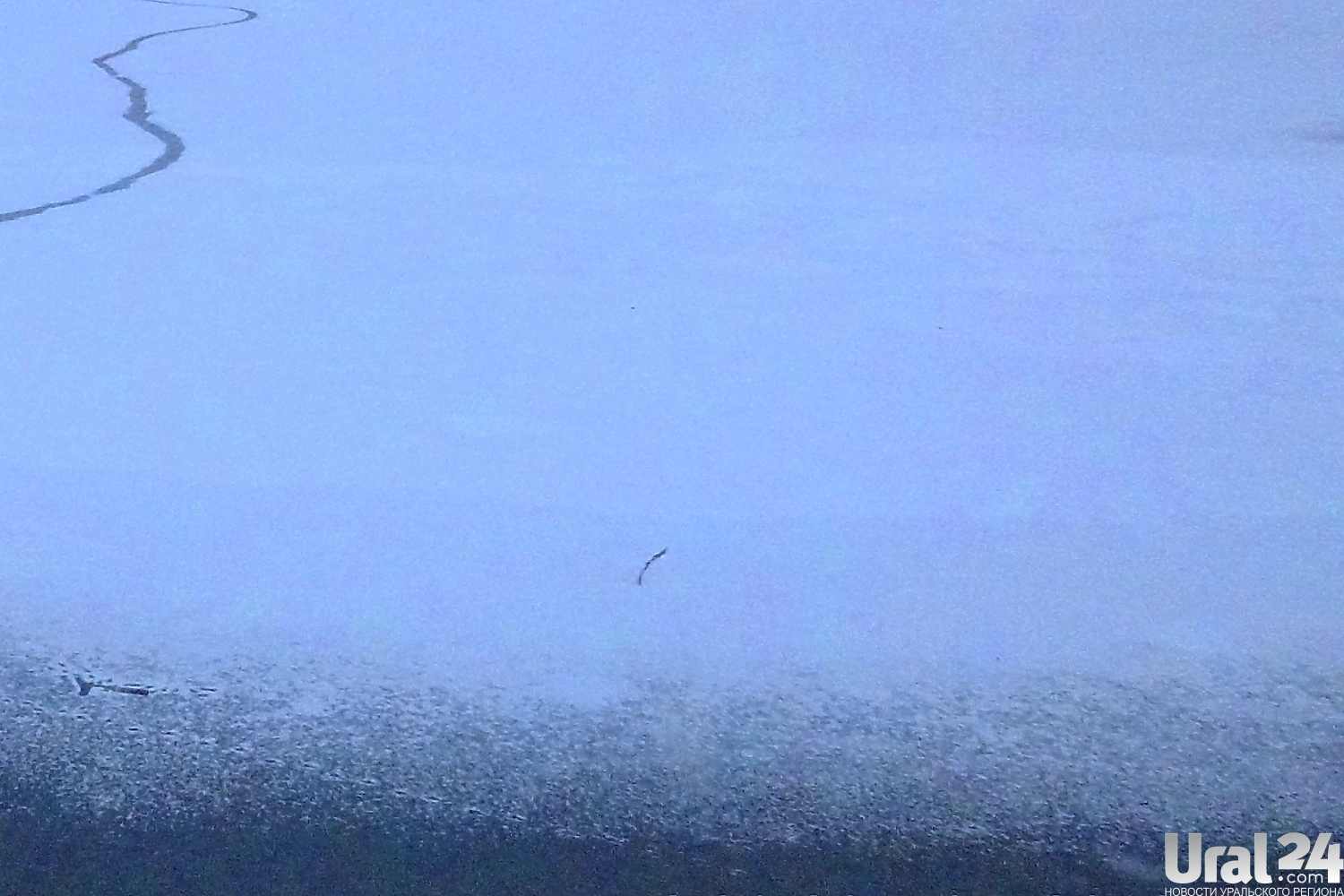 В декабре Москву активно засыпает снегом