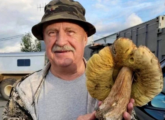 Возле Каменска-Уральского в лесу нашли необычный гриб | На Урале вырос нестандартный гриб Возле Каменска-Уральского в лесу нашли необычный гриб | На Урале вырос нестандартный гриб