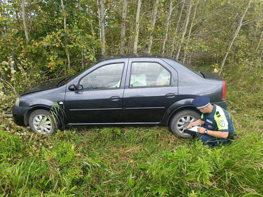 В Свердловской области мужчина погиб в машине «Renault Logan»  | На Урале водитель погиб в машине, съехавшей в кювет 