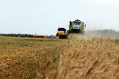 Россию засеют ГМО-зерновыми