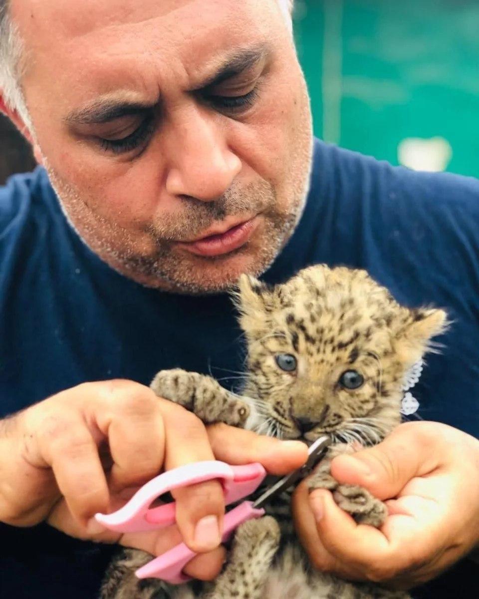 Под Челябинском появится экологической парк Под Челябинском появится экологической парк