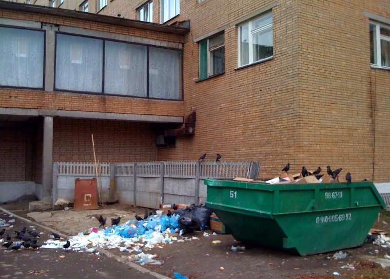 Автохамы более девяти тысяч раз за год помешали вывозу мусора в Екатеринбурге