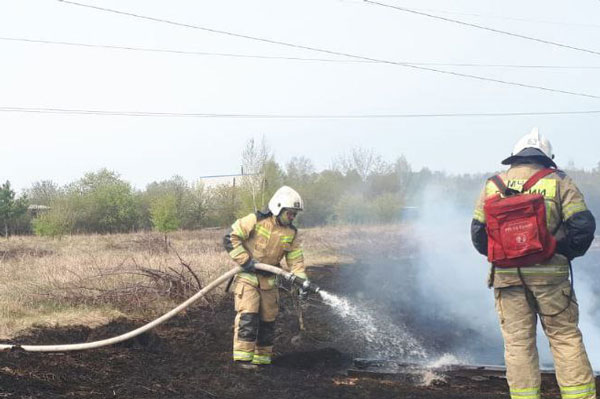 Площадь лесных пожаров на Среднем Урале сократилась в два раза Площадь лесных пожаров на Среднем Урале сократилась в два раза