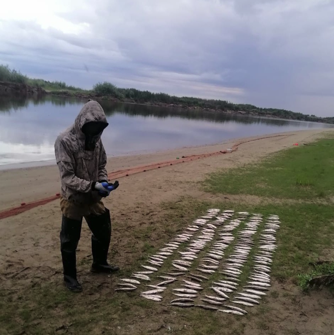 В Салехарде задержан местный житель по подозрению в браконьерстве