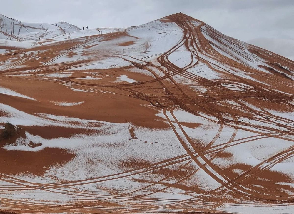 Жители Алжира не узнали родную пустыню: Сахару накрыло снегопадом — такое происходит очень редко  | В пустыне Сахара выпал снег: редкое явление запечатлели на фото