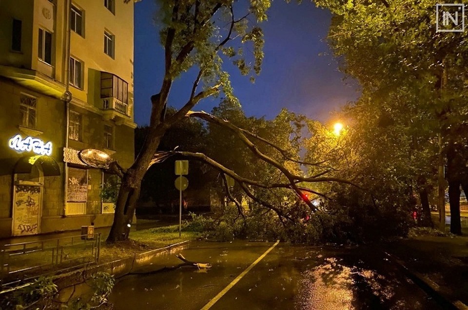 В Екатеринбурге во время грозы сильный ветер вырывал деревья с корнем