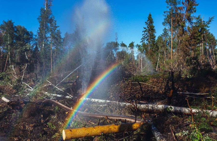Особый противопожарный режим начинает действовать в Свердловской области | В Свердловской области с 19 апреля водят особый противопожарный режим Особый противопожарный режим начинает действовать в Свердловской области | В Свердловской области с 19 апреля водят особый противопожарный режим