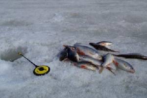 В Челябинской области нашли заблудившихся рыбаков