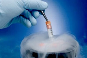 Чехи предложили открыть в Челябинске банк стволовых клеток