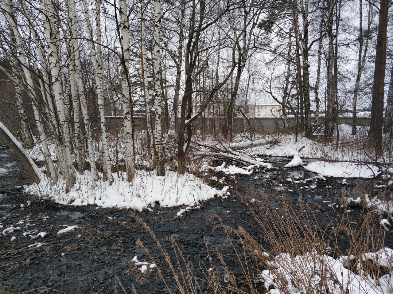 Прокуратура через суд взыскала с птицефабрики свыше 11,8 млн. рублей в качестве возмещения ущерба, причиненного окружающей среде Прокуратура через суд взыскала с птицефабрики свыше 11,8 млн. рублей в качестве возмещения ущерба, причиненного окружающей среде