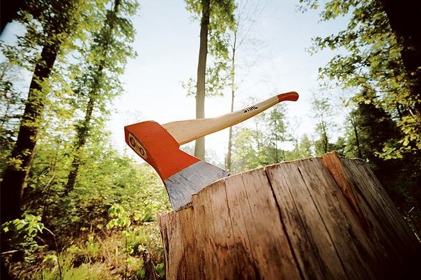 В Перми поймали «черного лесоруба»