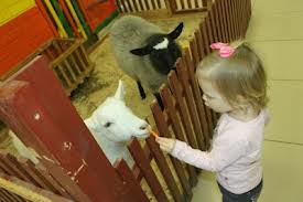 Пермякам вместо зоопарка подарят некрополь Пермякам вместо зоопарка подарят некрополь