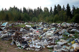 Не благотворительная помощь. Фонд «Содружество» засорял лес отходами