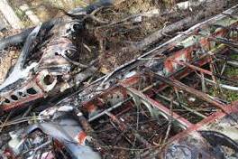 Расследование дела по крушению АН-2 в Свердловской области: тест на алкоголь