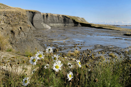 У Ямала случился День рождения У Ямала случился День рождения