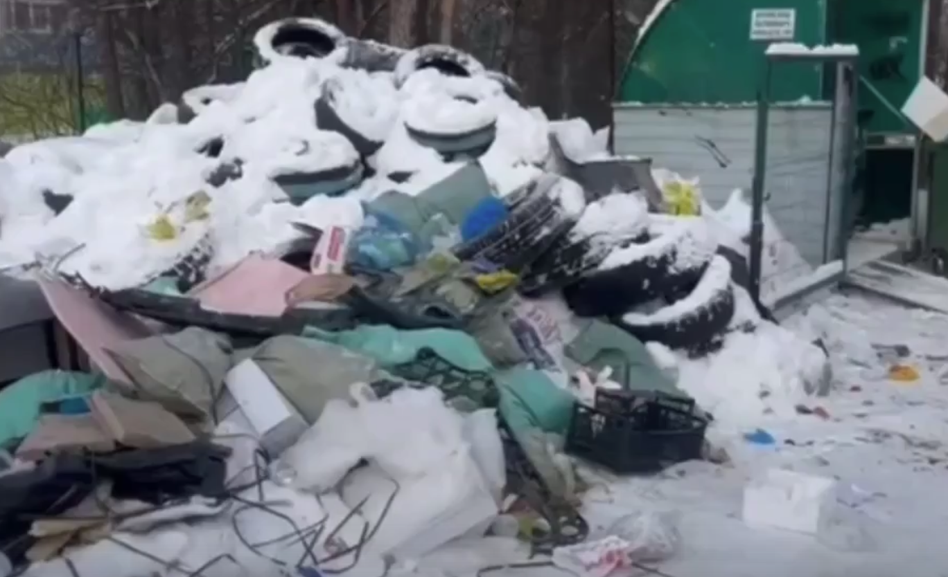 Скандал в Екатеринбурге: детский сад рядом с несанкционированной свалкой вызывает недовольство жителей