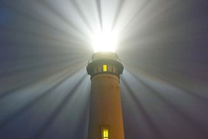 Общественность города Екатеринбурга – за безопасность детей на дорогах! Общественность города Екатеринбурга – за безопасность детей на дорогах!