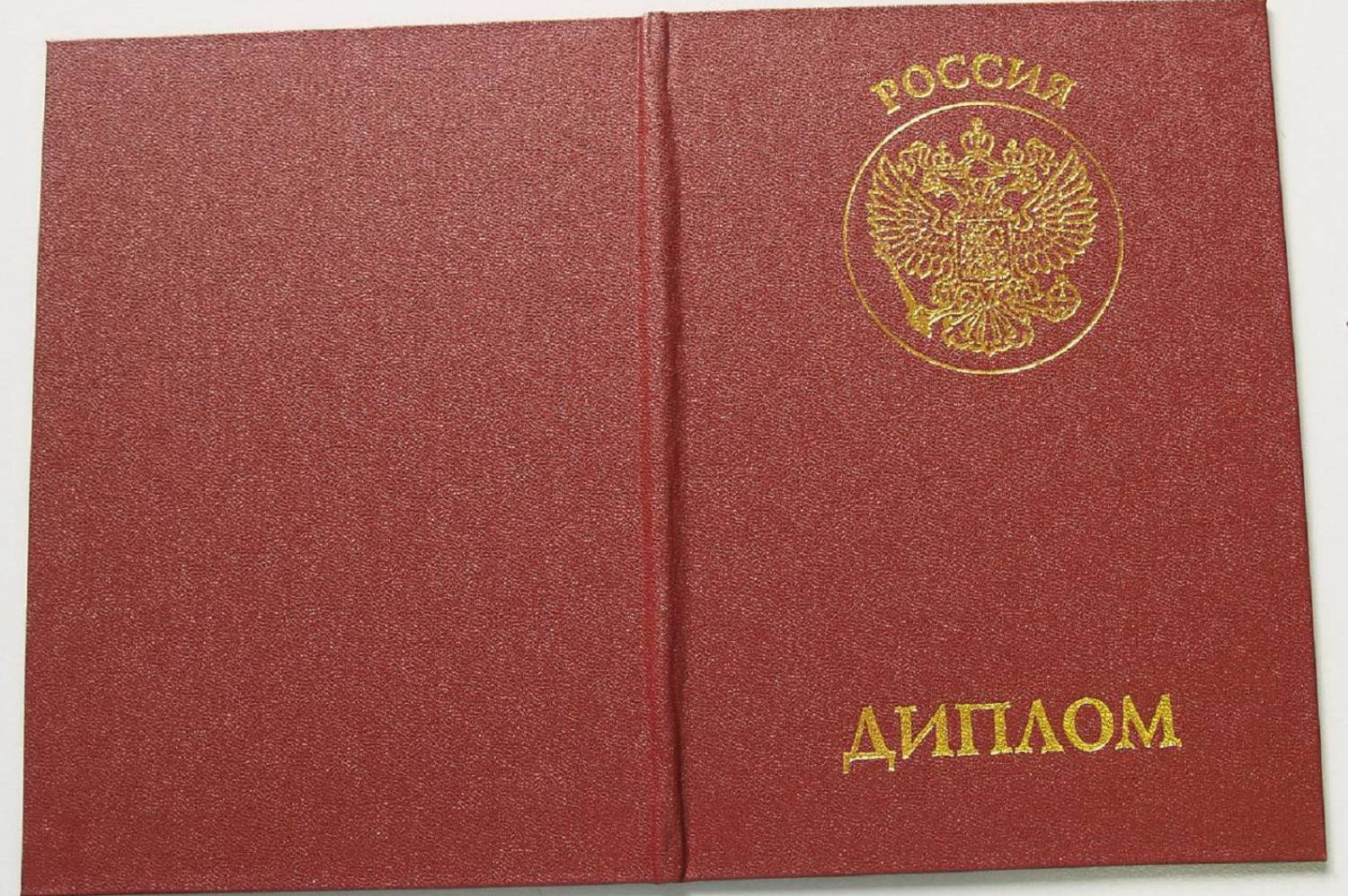 Два челябинца поставили подделку дипломов на поток и заработали миллион