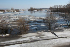 Режим ЧС введен на территории города Бикин в Хабаровском крае: есть угроза подтопления жилых домов Режим ЧС введен на территории города Бикин в Хабаровском крае: есть угроза подтопления жилых домов