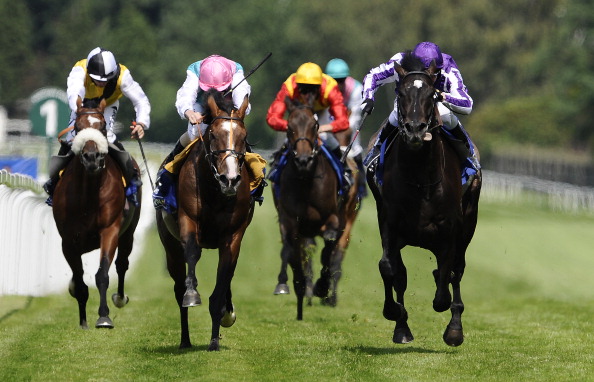 На ипподром в Кургане съехались гости из других регионов