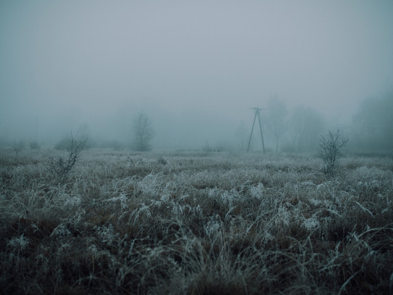 Огород подходит к концу — уральцев предупредили о неприятной погоде  | На Свердловскую область надвигается настоящая осень 