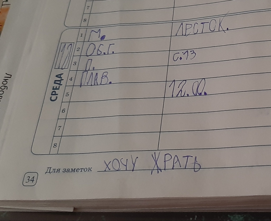 Школьник из Перми насмешил Twitter своим дневником, где графа "Для заметок" стала его исповедью