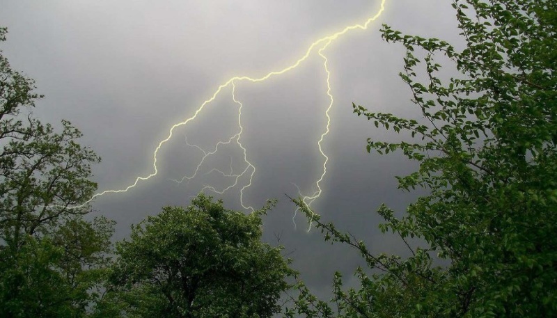 17 июля местами на территории Свердловской области ожидаются грозы и ветер с порывами до 18 м/с