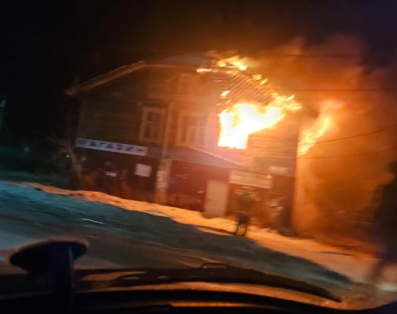 На Урале сгорел приют для животных, 14 хвостатых погибло  | Под Екатеринбургом сгорел приют для кошек и собак