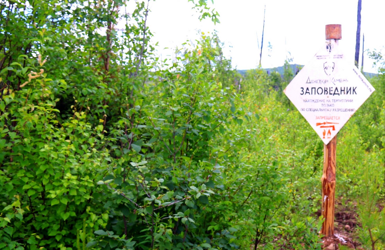 Природа хлебнула горя: реки Северного Урала стали сточными канавами из-за промышленного гиганта Природа хлебнула горя: реки Северного Урала стали сточными канавами из-за промышленного гиганта