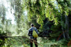 Полицейский и егерь из Красноуфимска спасли потерявшихся в лесу людей