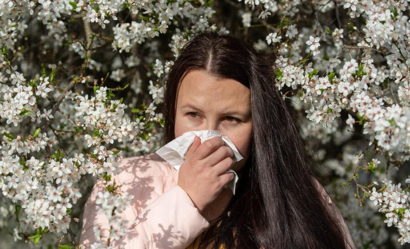 Сезонный подъём ОРВИ: в Свердловской области заболели 48 тысяч человек | Заболеваемость ОРВИ и гриппом растёт в Свердловской области 
