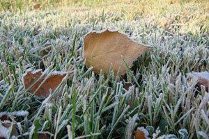 Ночью на Южном Урале похолодает до – 10