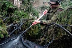 В Свердловской области бушуют пожары