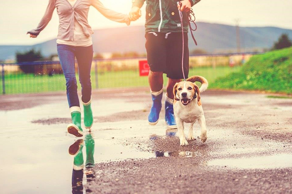 Весной уральцы переходят на «мобильный антистресс»