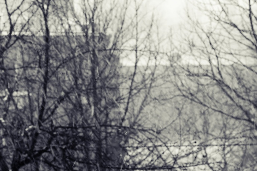 Конец недели в Свердловской области пройдет с похолоданием