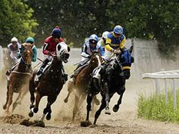 Жеребец Кадырова озолотил хозяина