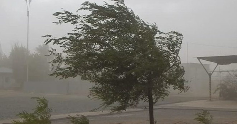 27 августа местами в Свердловской области ожидается сильный ветер с порывами до 20 м/с