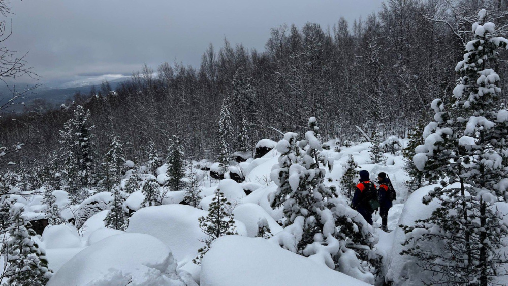Семью Усольцевых, пропавшую в Красноярском крае, могли видеть в Таиланде: новые сведения | В Таиланде обнаружили людей, похожих на пропавшую семью Усольцевых