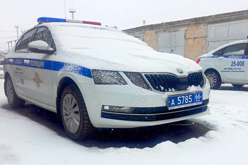 МЧС: 24 ноября местами в Свердловской области ожидаются сильный снег и гололёдные явления