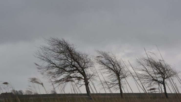 На Урал надвигается ураганный ветер  | МЧС предупредило уральцев о ветре до 20 м/с 
