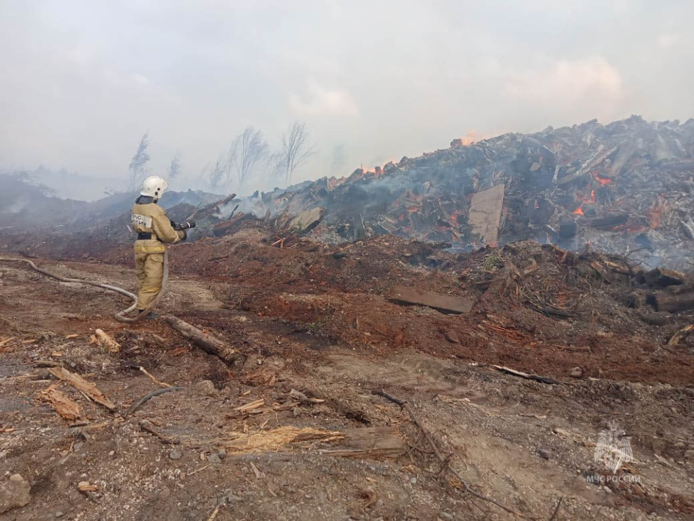 Крупный пожар — в Свердловской области горят отходы лесопиления  | На Урале загорелись отходы деревообрабатывающего производства 