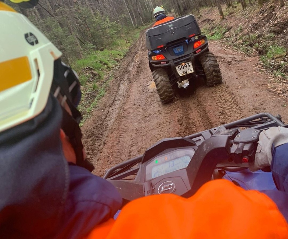 84-летний челябинец пропал, пытаясь найти табун лошадей | В Челябинской области пропал 84-летний мужчина 84-летний челябинец пропал, пытаясь найти табун лошадей | В Челябинской области пропал 84-летний мужчина